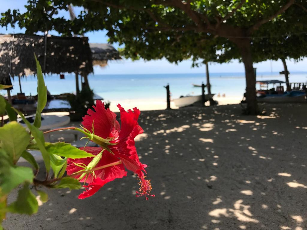 No Name Bungalow Haad Yao – Koh Phangan